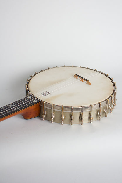 Fairbanks Special Electric 5 String Banjo (1898)
