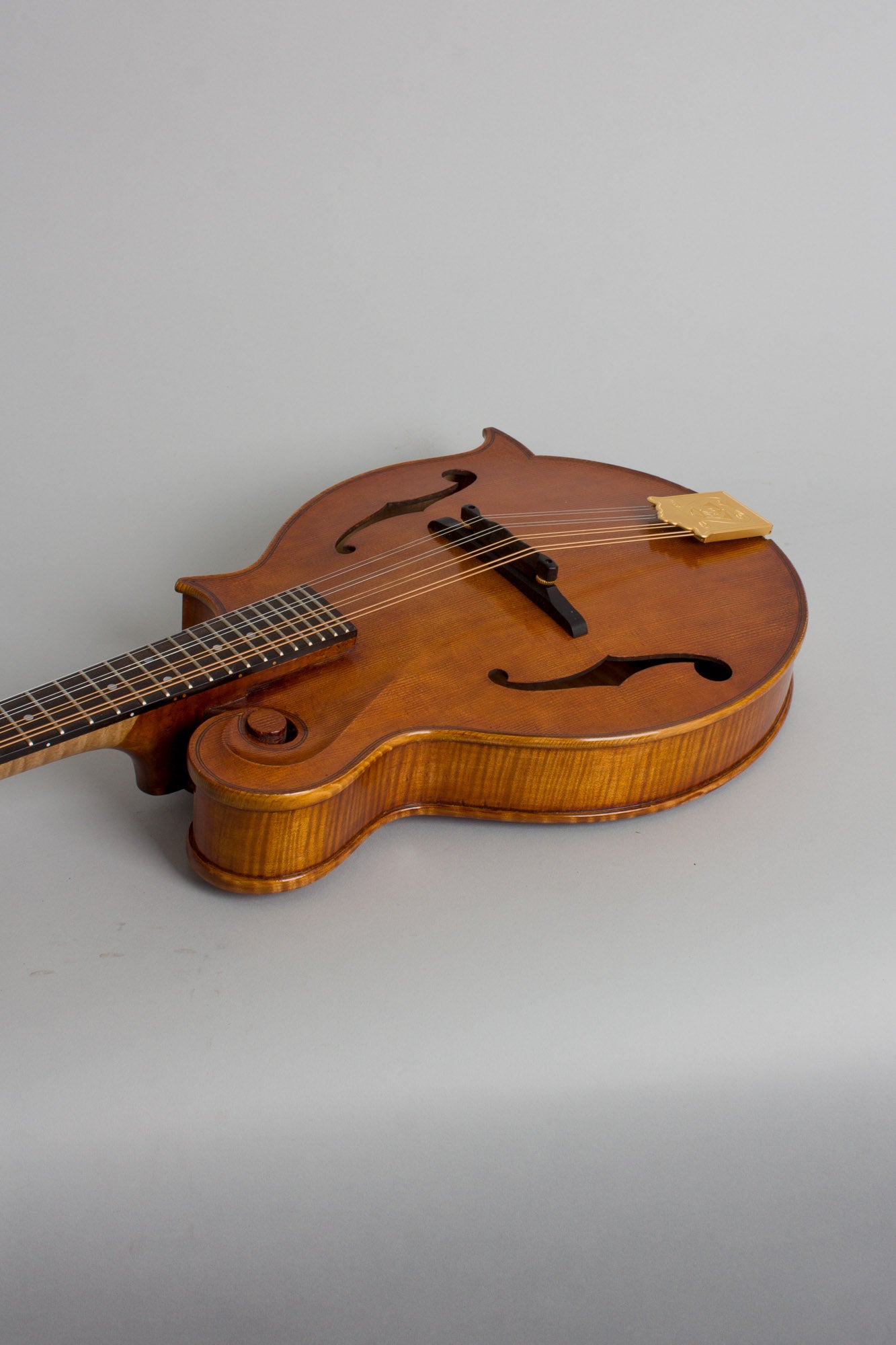 Joseph Campanella Cleary Campanella Carved Top Mandolin (2012)