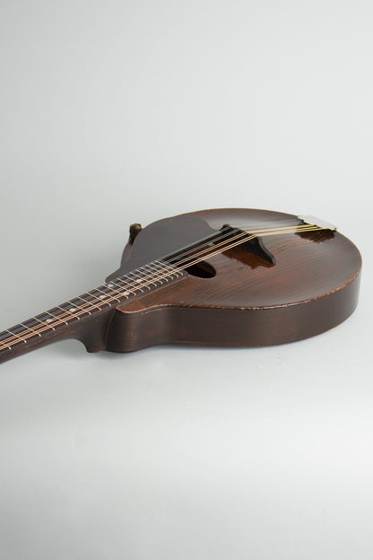 Gibson A-Junior Carved Top Mandolin (1921)