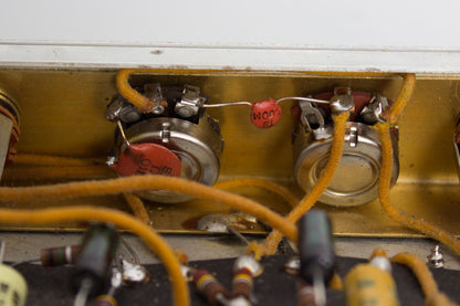 Fender Deluxe 6G3 w/Road Case Tube Amplifier (1961)