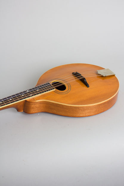 Gibson Style A-1 Carved Top Mandolin (1913)