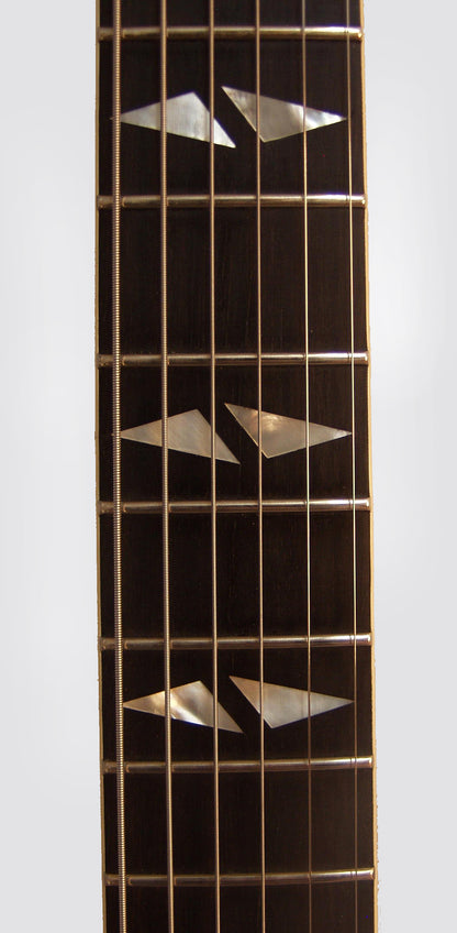 Gibson Trini Lopez Deluxe Arch Top Hollow Body Electric Guitar (1965)