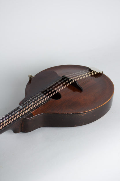 Gibson Style A-0 Carved Top Mandolin (1930)