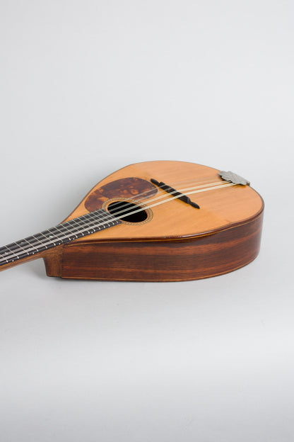 C. F. Martin Style B Flat Back Mandolin (1920)