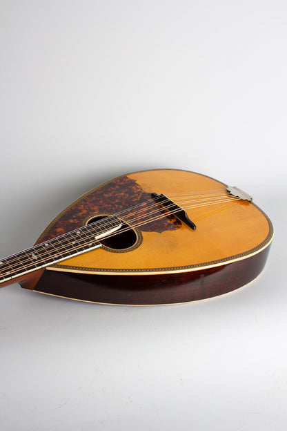 Larson Brothers Wm. Stahl Flat back, bent top Mandola (1925)