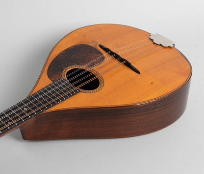 C. F. Martin Style B Flat Back Mandolin (1931)