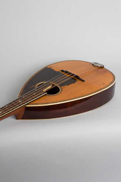 Larson Brothers Wm. Stahl Flat back, bent top Mandola (1920)