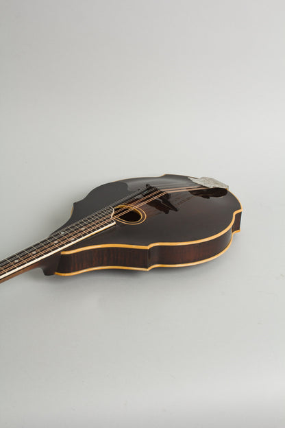 Bacon William Place Jr. Artist Model Carved Top Mandolin (1921)