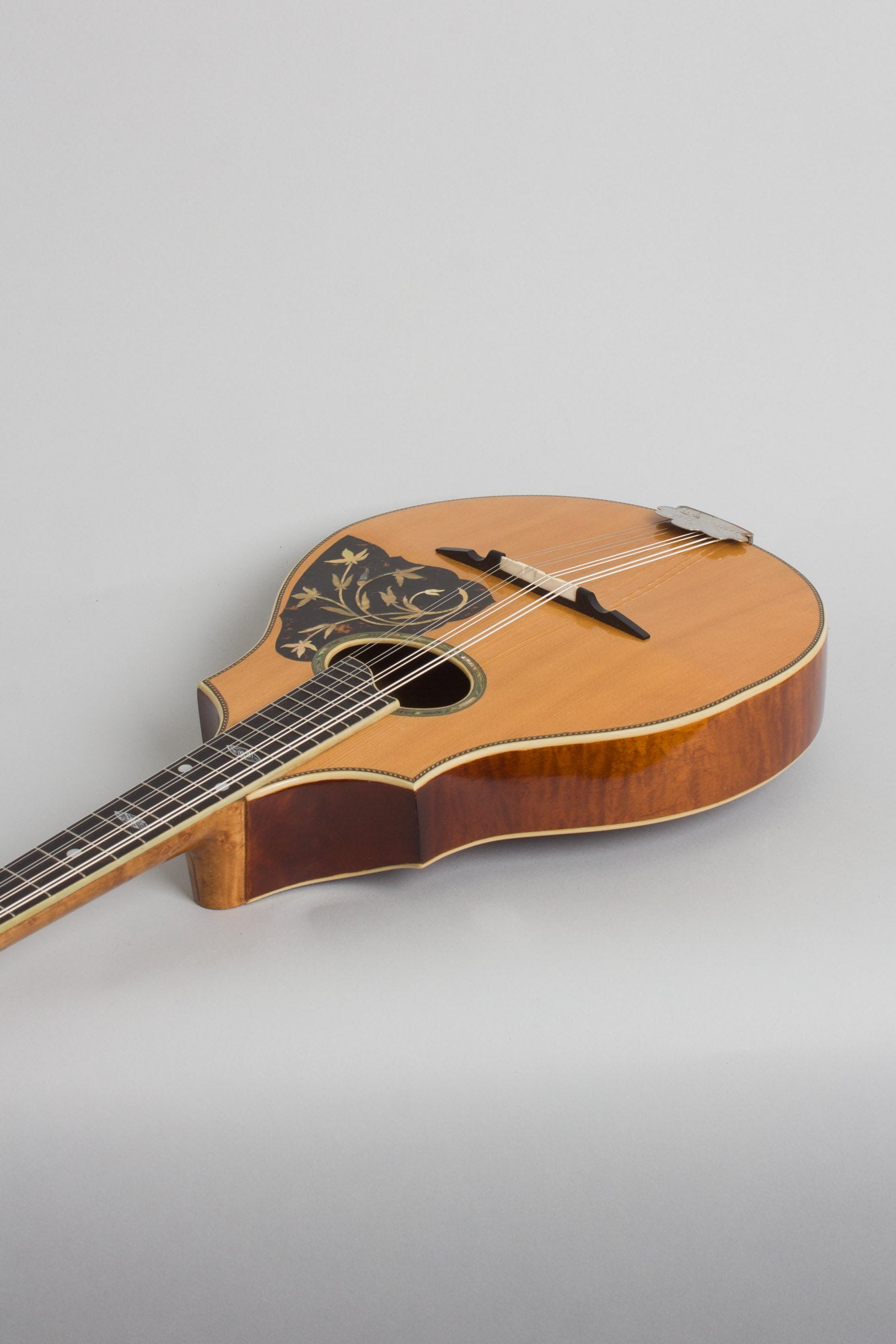 Vega Cylinder Back Model 205 Mandolin (1917)