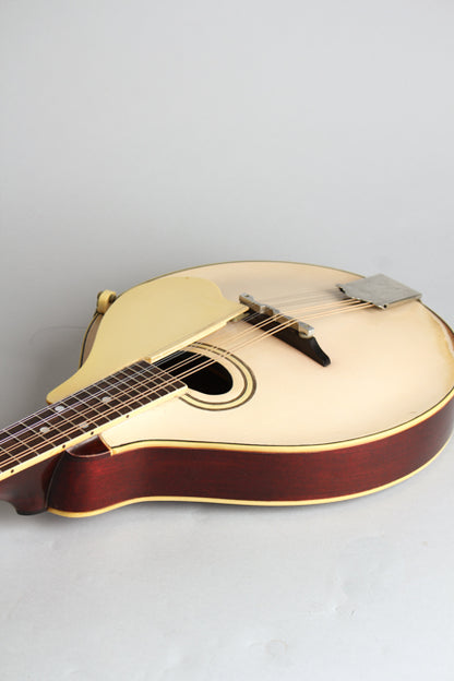Gibson Style A-3 Carved Top Mandolin (1920)