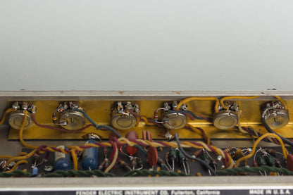 Fender Princeton Reverb Tube Amplifier (1965)