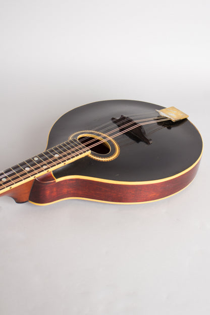 Gibson A-4 Carved Top Mandolin (1911)