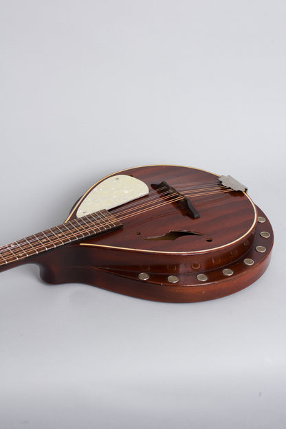 Regal Beltone Arch Top Mandolin (1940s)