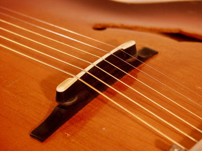 D'Angelico Style A Arch Top Acoustic Guitar (1942)