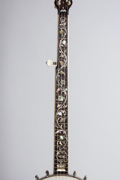 S. S. Stewart Unlabelled 5 String Banjo (1900)