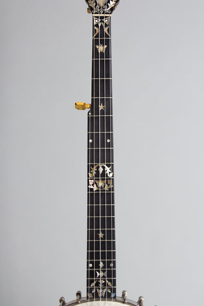S. S. Stewart Extra Fine Presentation 5 String Banjo (1890)