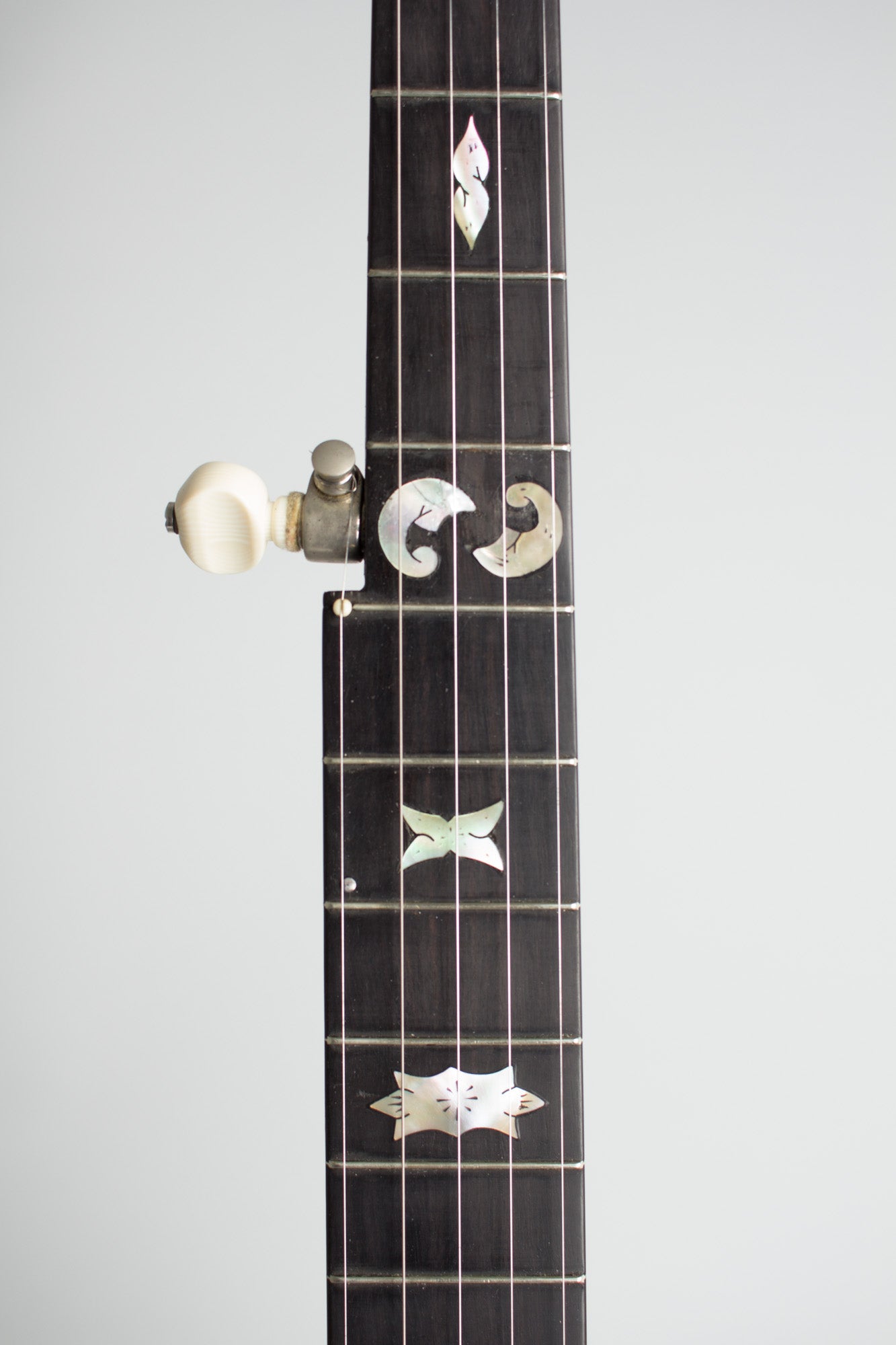 W. A. Cole Eclipse Custom 5 String Banjo (1893)