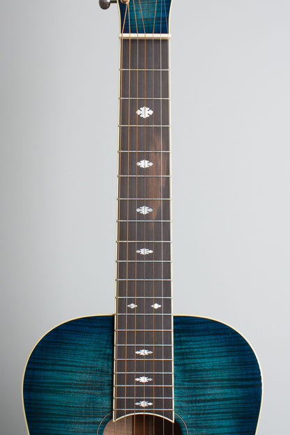 Beard E Odyssey 7-string Resophonic Guitar (2017)