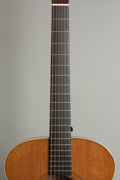 Circle Strings A-1 10 String Acoustic Flat Top Guitar (2018)