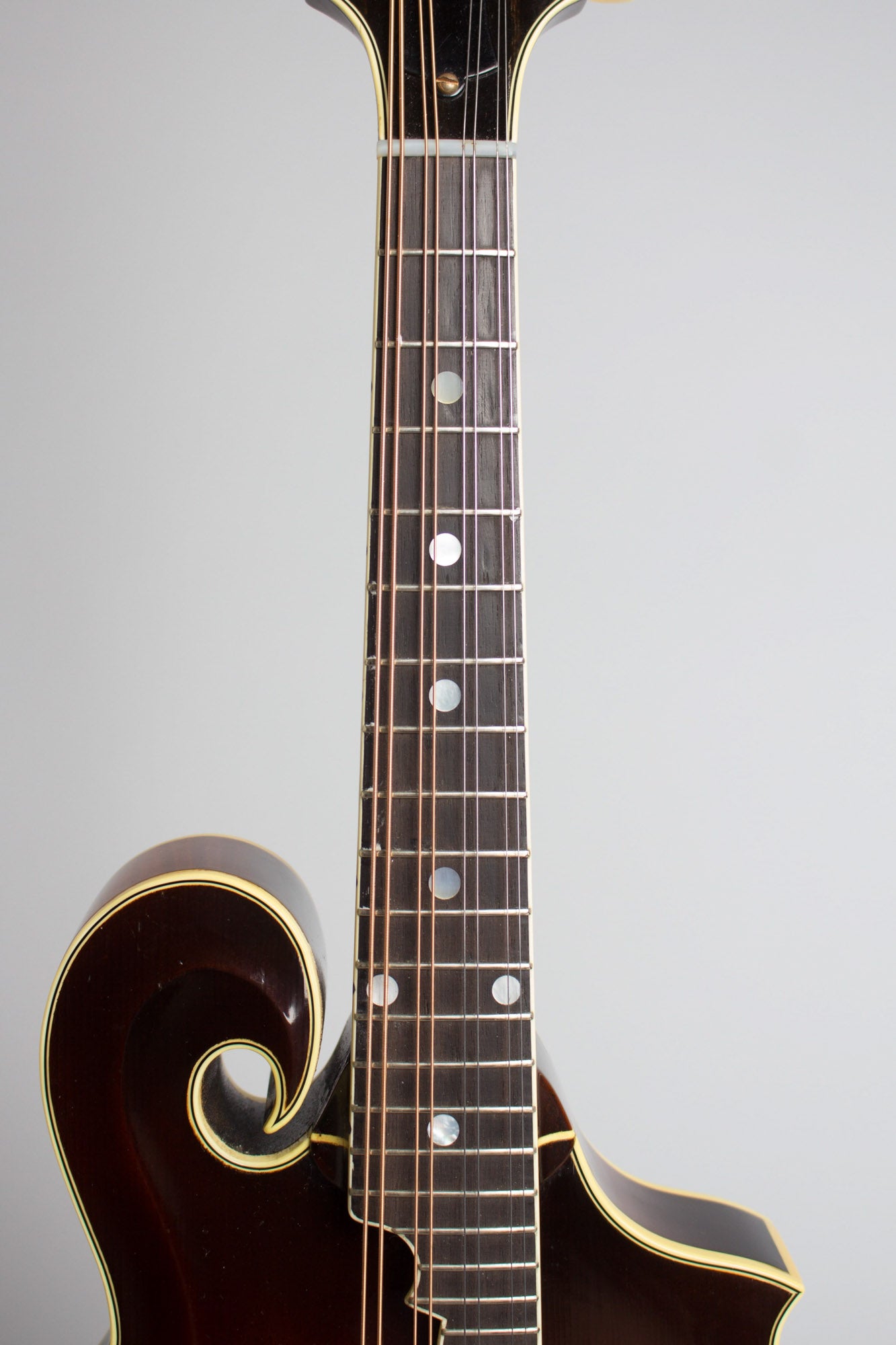 Monteleone Grand Artist Carved Top Mandolin (1982)