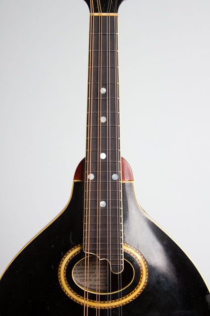 Gibson A-4 Carved Top Mandolin (1913)
