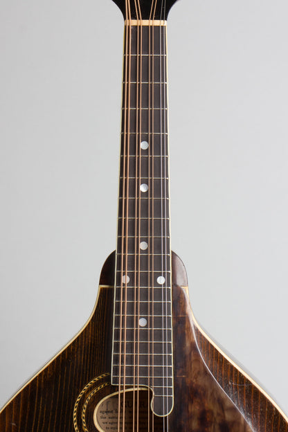 Gibson Style H-1 Carved Top Mandola (1918)