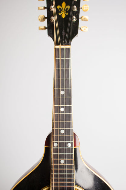 Gibson A-4 Carved Top Mandolin (1911)