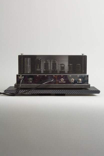 Ampeg B-15N Portaflex Large Tube Bass Amplifier (1963)
