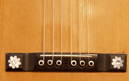 Washburn Style 245 Flat Top Acoustic Guitar (1900)