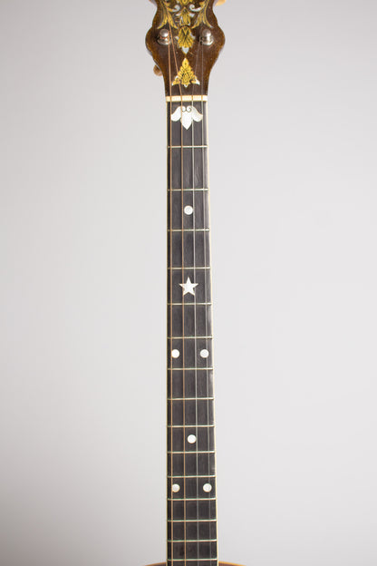 Vega Vegavox I Tenor Banjo (1930)