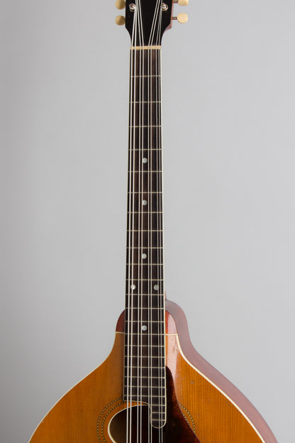 Gibson K-1 Carved Top Mandocello (1915)