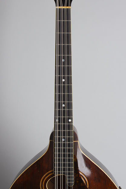 Gibson K-1 Carved Top Mandocello (1919)