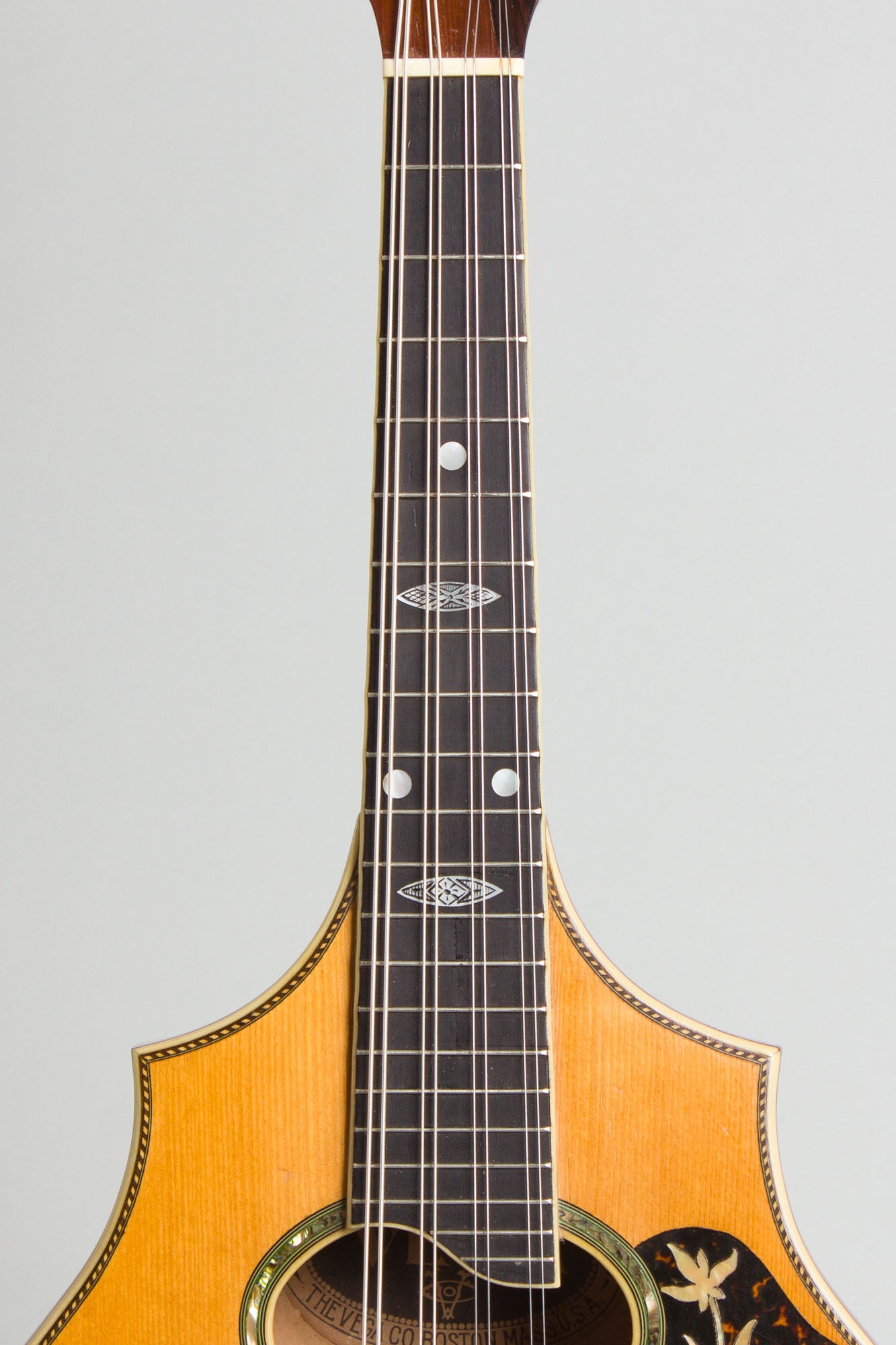 Vega Cylinder Back Model 205 Mandolin (1917)