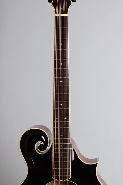 Weber Carved Top Mandocello (2016)
