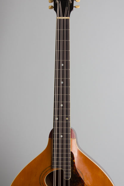 Gibson K-1 Carved Top Mandocello (1915)