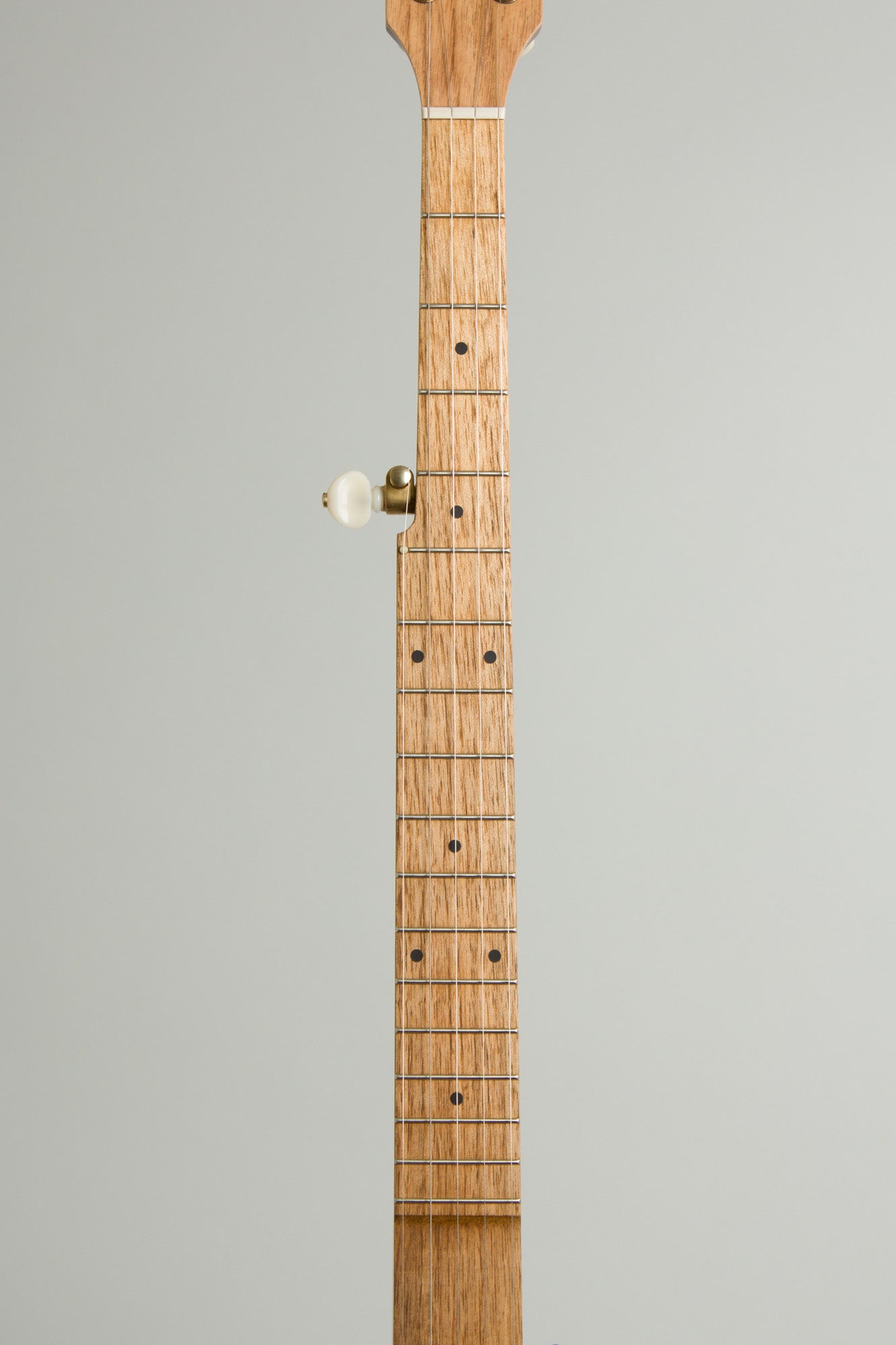 Pisgah Dobson 5 String Banjo (2025)