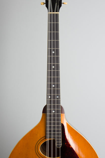 Gibson K-1 Carved Top Mandocello (1918)