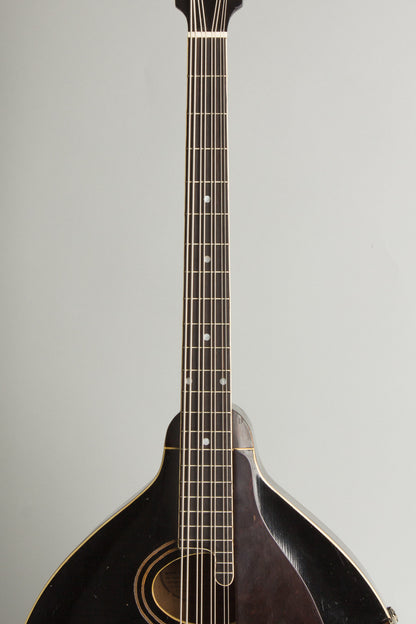 Gibson K-1 Carved Top Mandocello (1924)