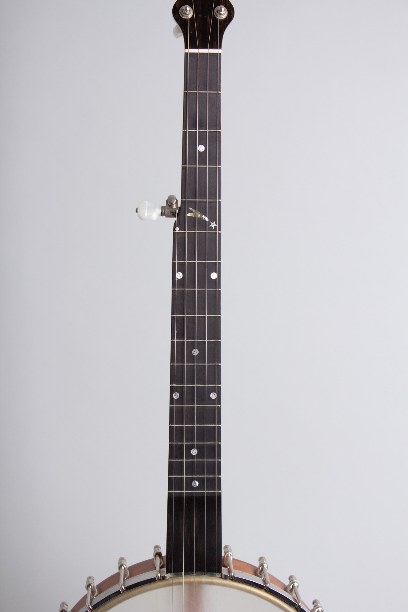 Mike Ramsey Special 5 String Banjo (2013)