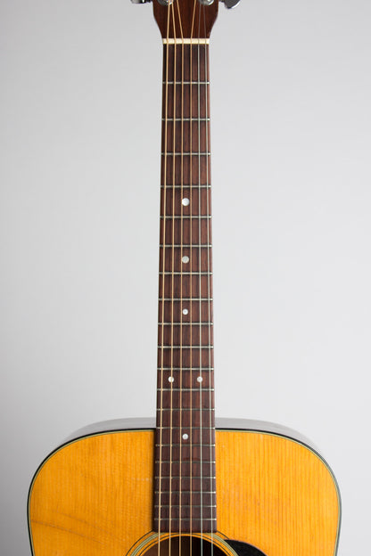C. F. Martin D-18 Flat Top Acoustic Guitar (1971)