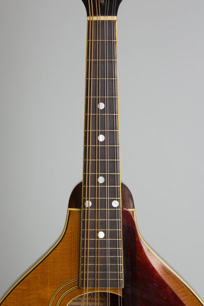 Gibson A-2 Snakehead Carved Top Mandolin (1923)