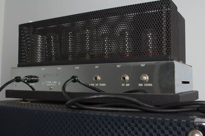 Ampeg B-15N Bass Tube Amplifier (1965)