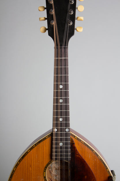 Gibson Alrite Style D Flat Top Mandolin (1917)