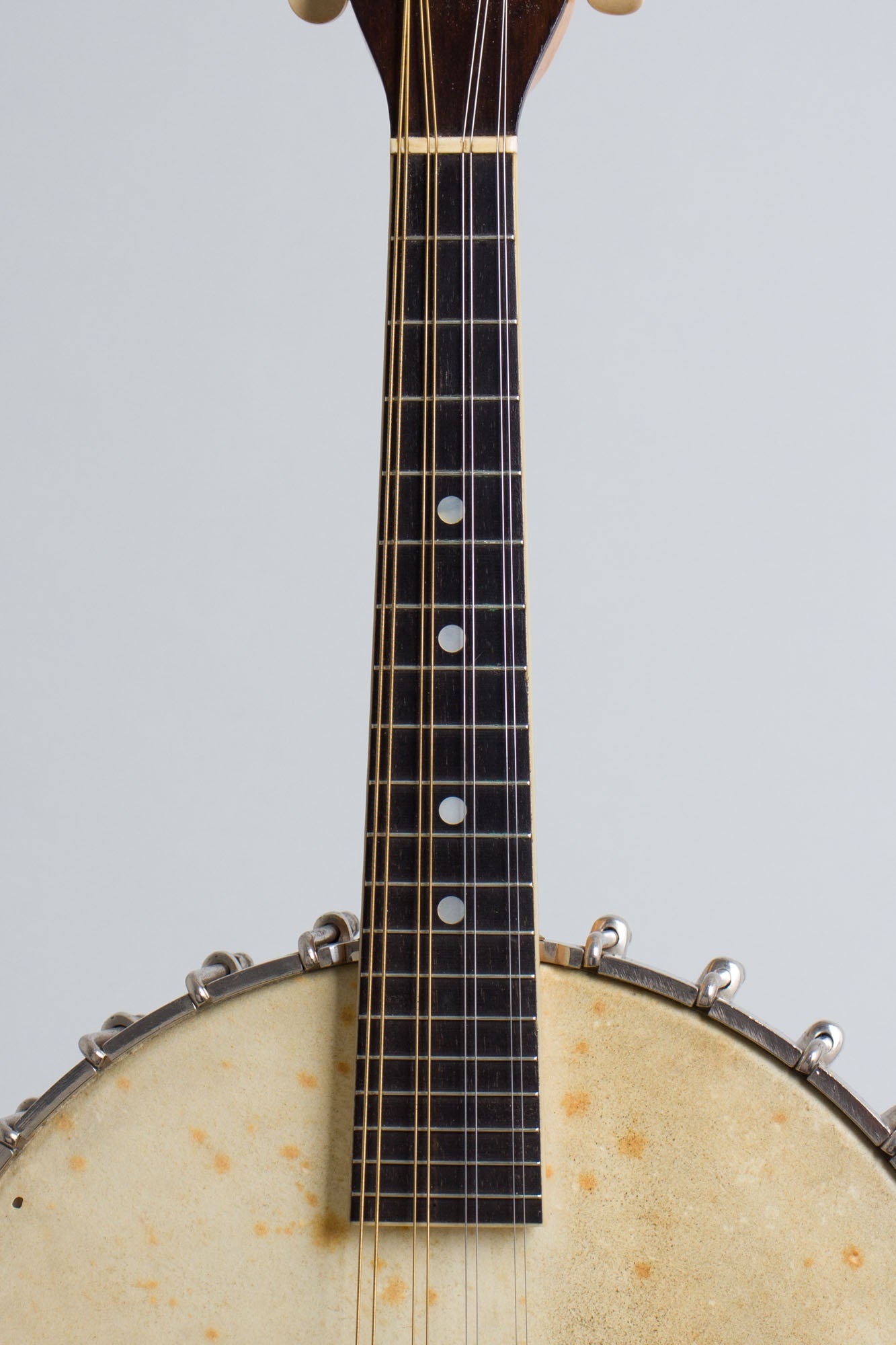 Vega Fairbanks Little Wonder Mandolin Banjo (1917)