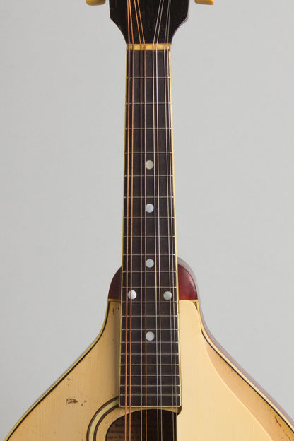 Gibson Model A-3 Carved Top Mandolin (1919)