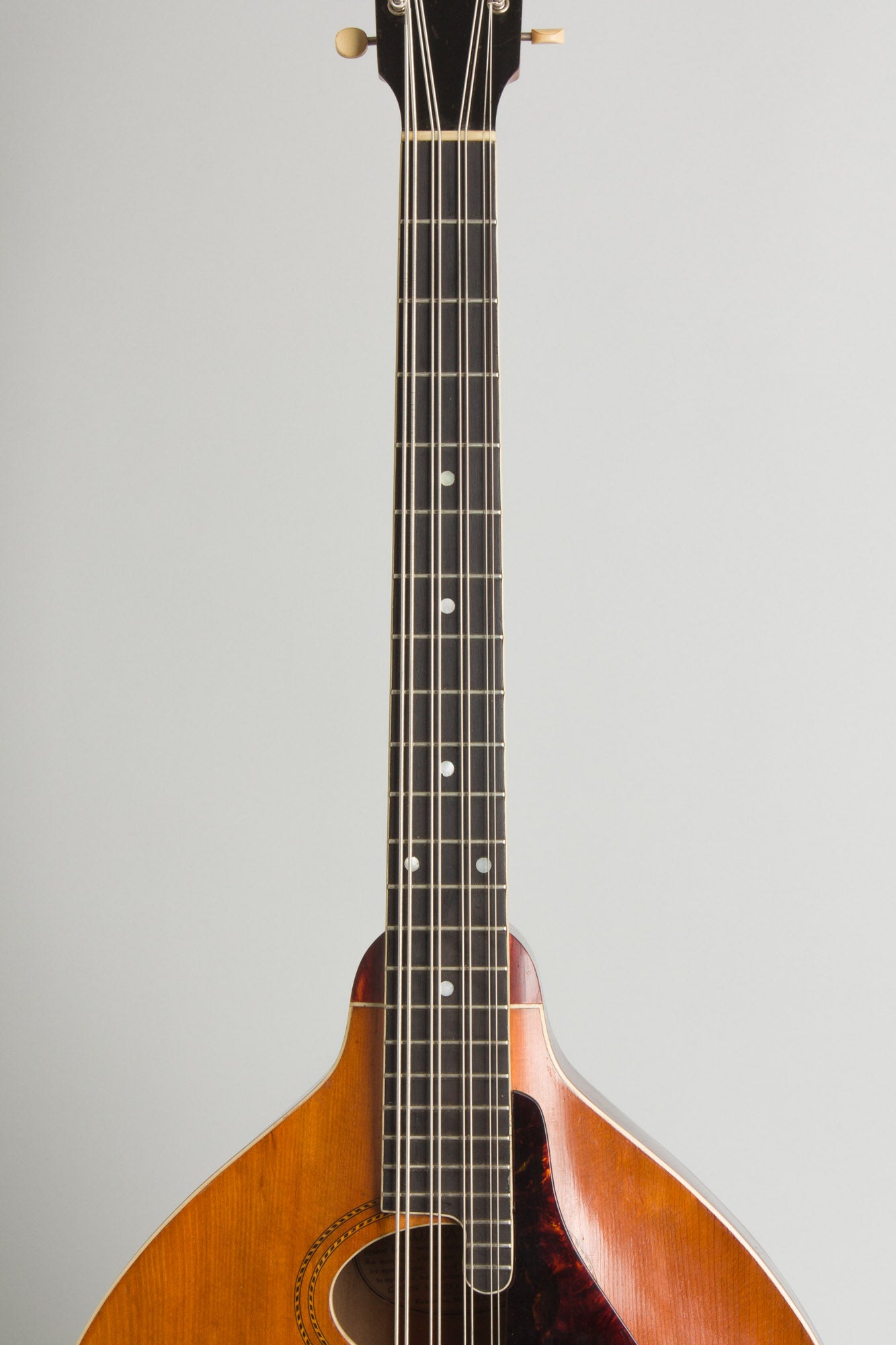 Gibson K-1 Carved Top Mandocello (1914)