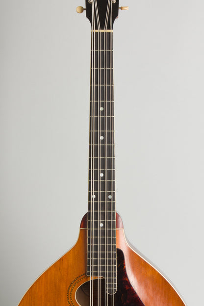 Gibson K-1 Carved Top Mandocello (1914)