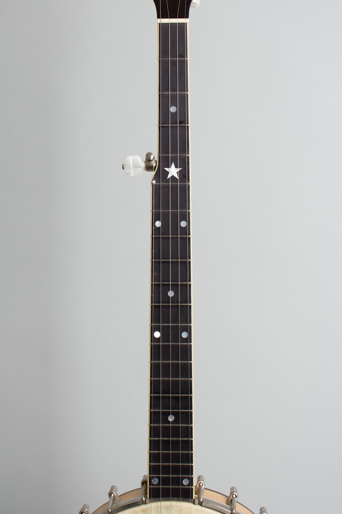 Bart Reiter Professional 5 String Banjo (1996)