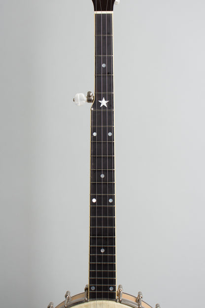 Bart Reiter Professional 5 String Banjo (1996)