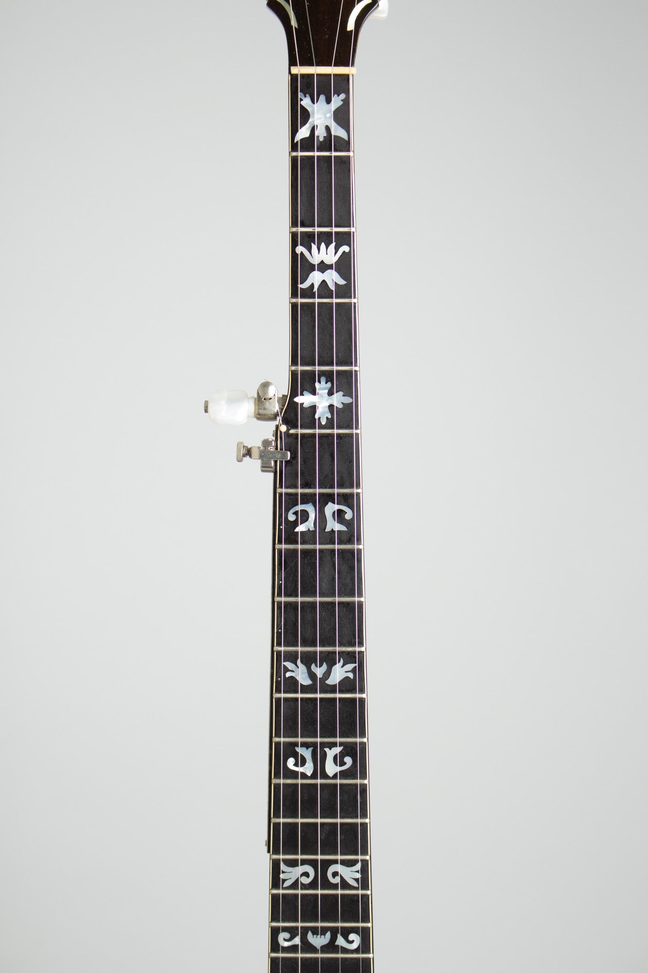 Wildwood Custom Bluegrass 5 String Banjo (1971)